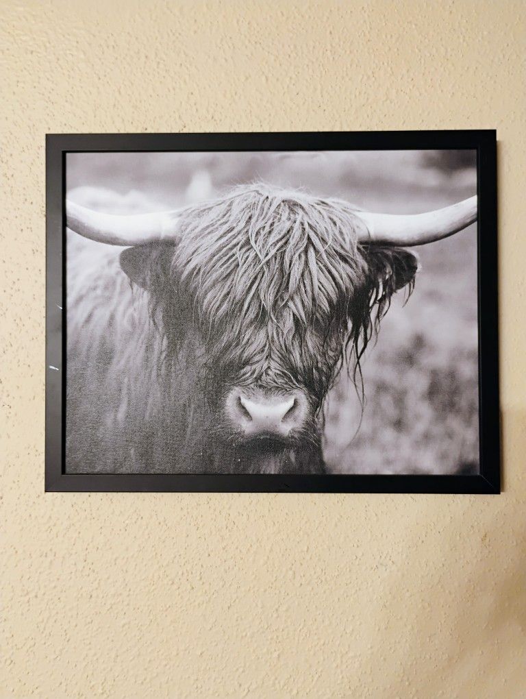 Home Or Office Decor