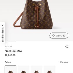 Louis Vuitton Bag