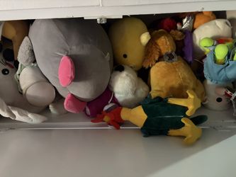 Stuffed Animals