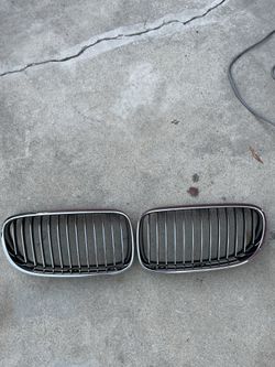 BMW 335i Lci Oem Grills