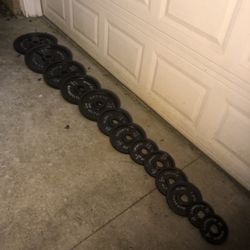 Weight Set Sports Authority / Chrome Collars 