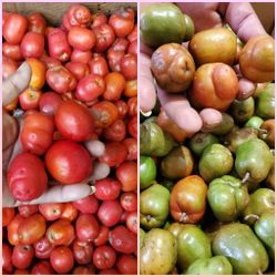 Ciruelas $10 Libra 8⃣1⃣3⃣-4⃣0⃣9⃣-9⃣7⃣2⃣5⃣
