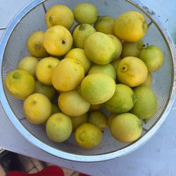 Organic Lemons