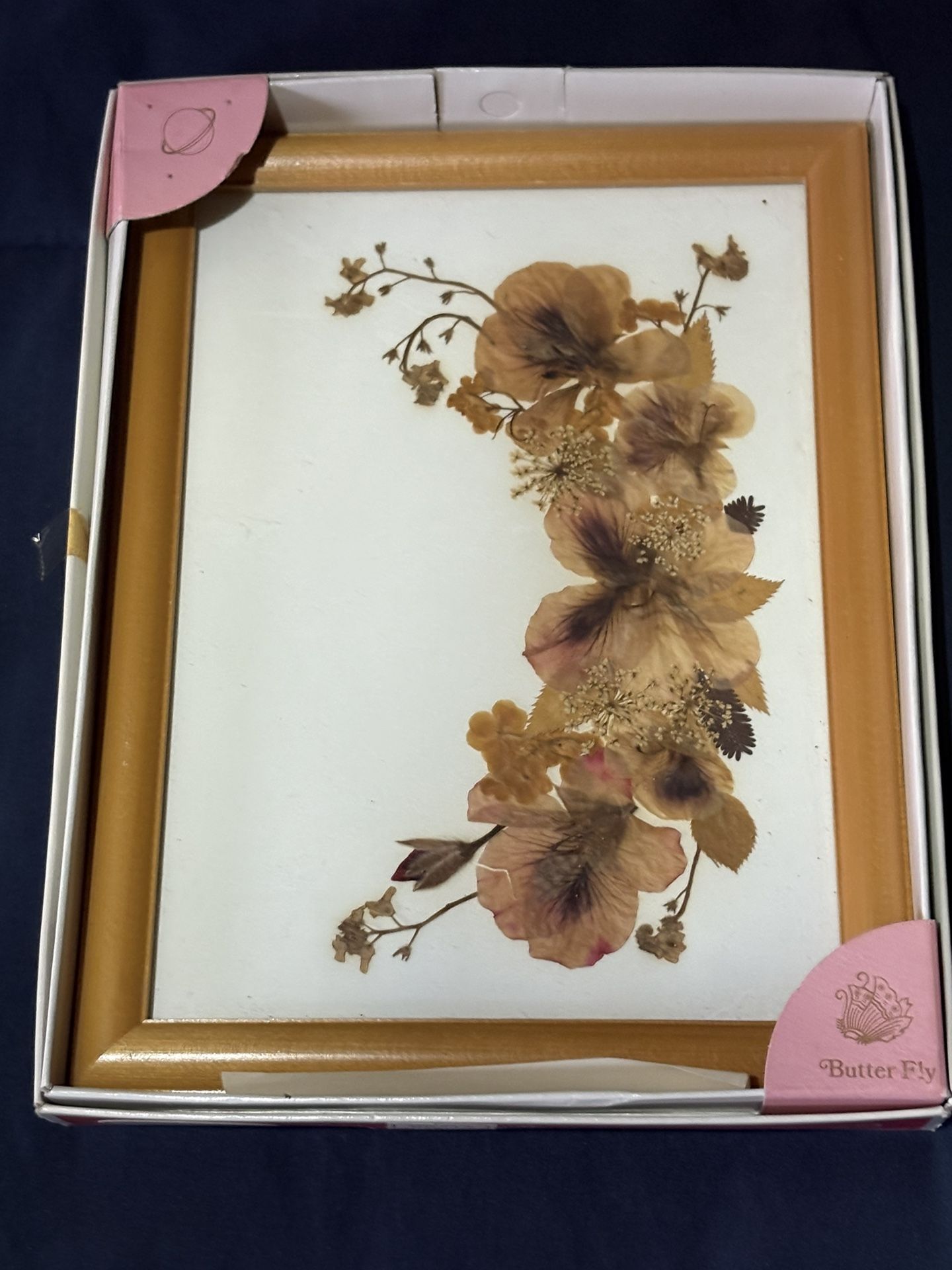 Butterfly Collection picture Frames From Japan