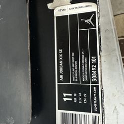 Air Jordan XIX SE