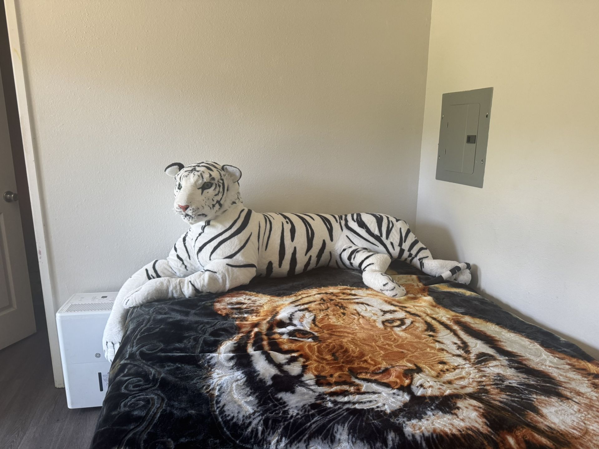 Giant Siberian white Tiger