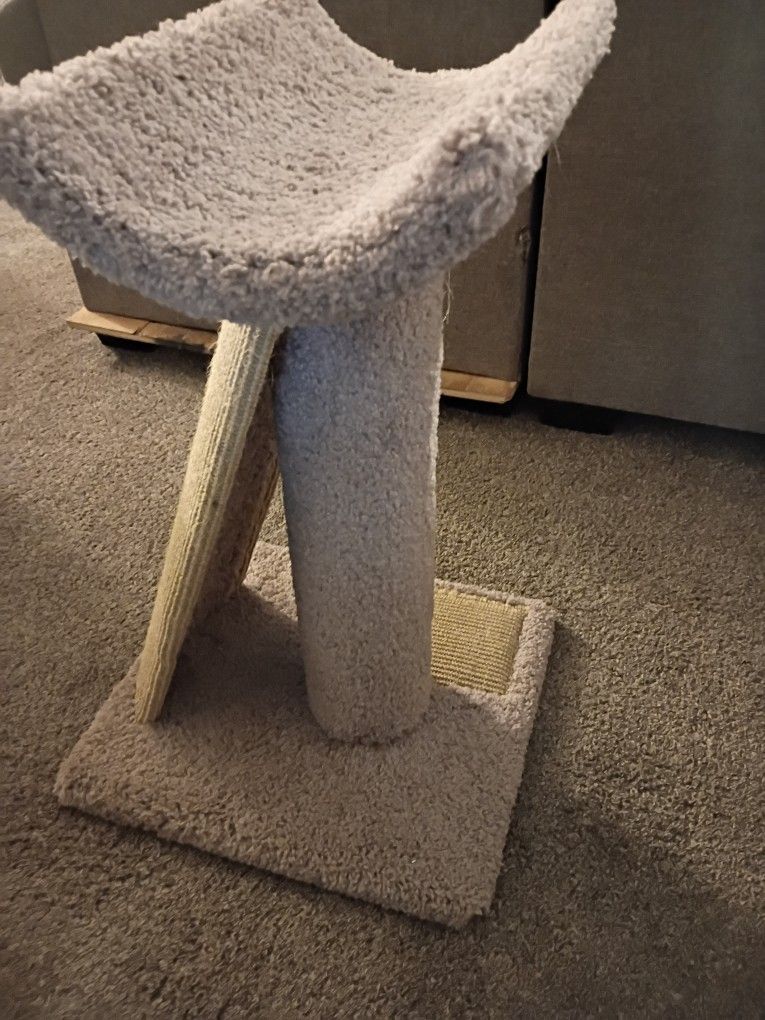 Cat Scratcher