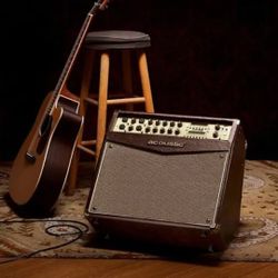 Acoustic Amplifier Speaker 