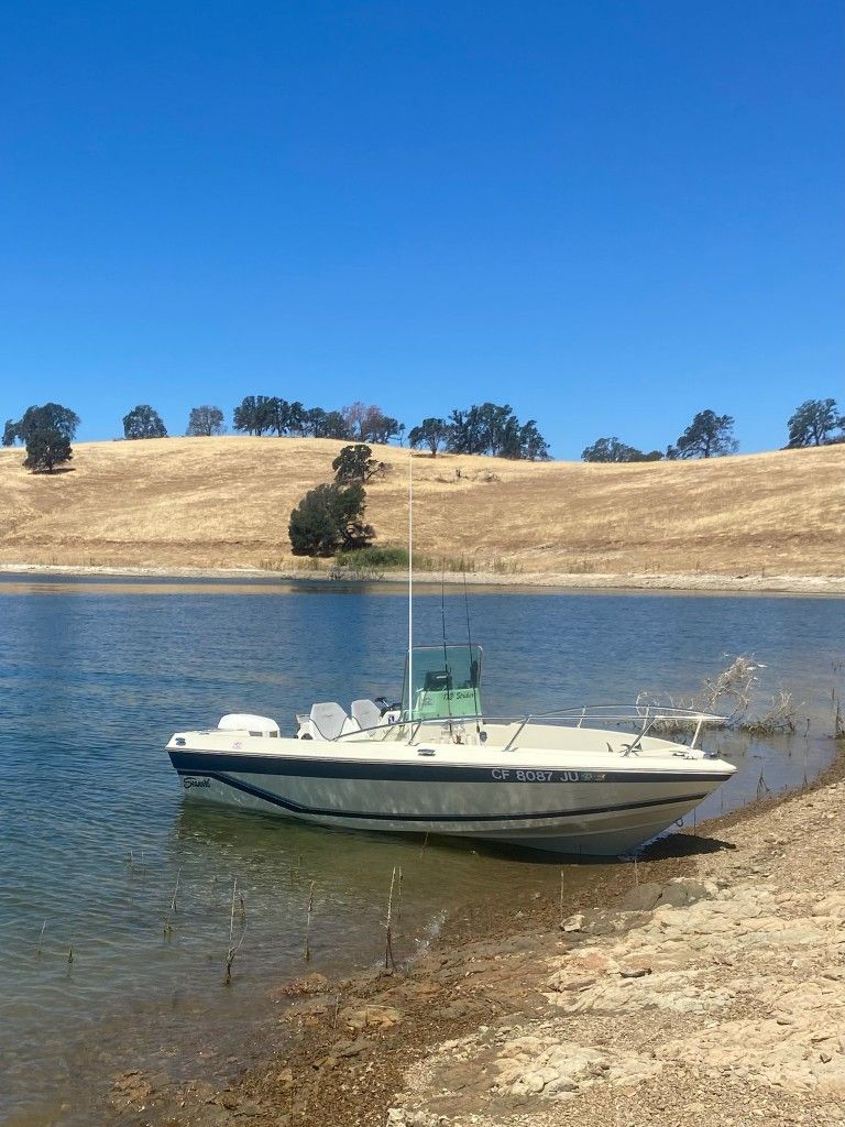 1988 Sea swirl Striker