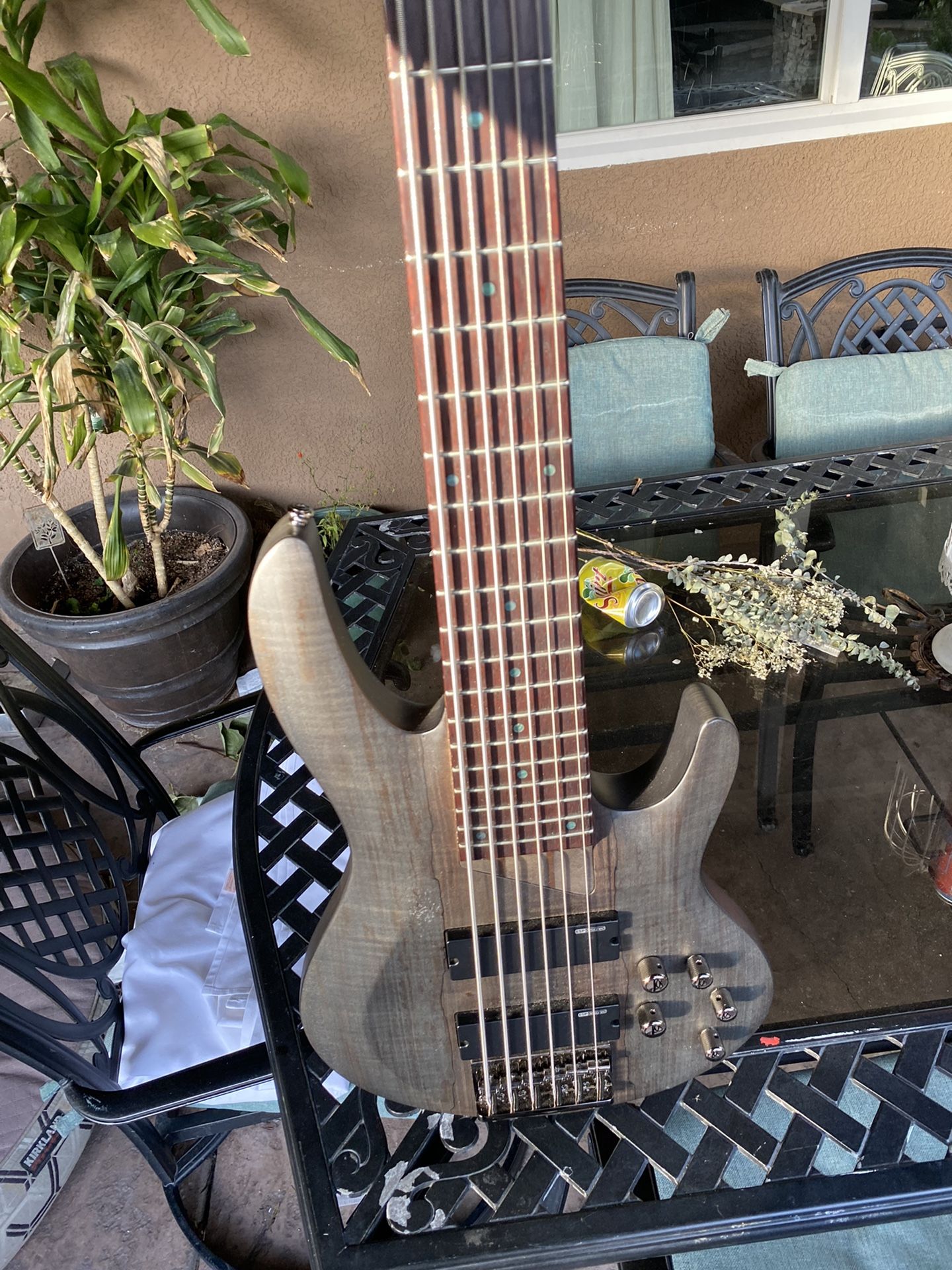 ESP LTD B-206SM 6 String Bass Guitar - See Thru Black Satin