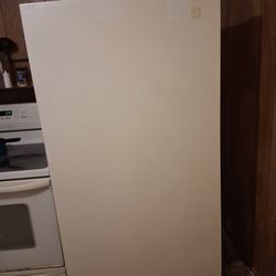 Stand Up Deep Freezer 