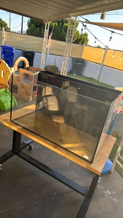 Free fish tank 55 gallon