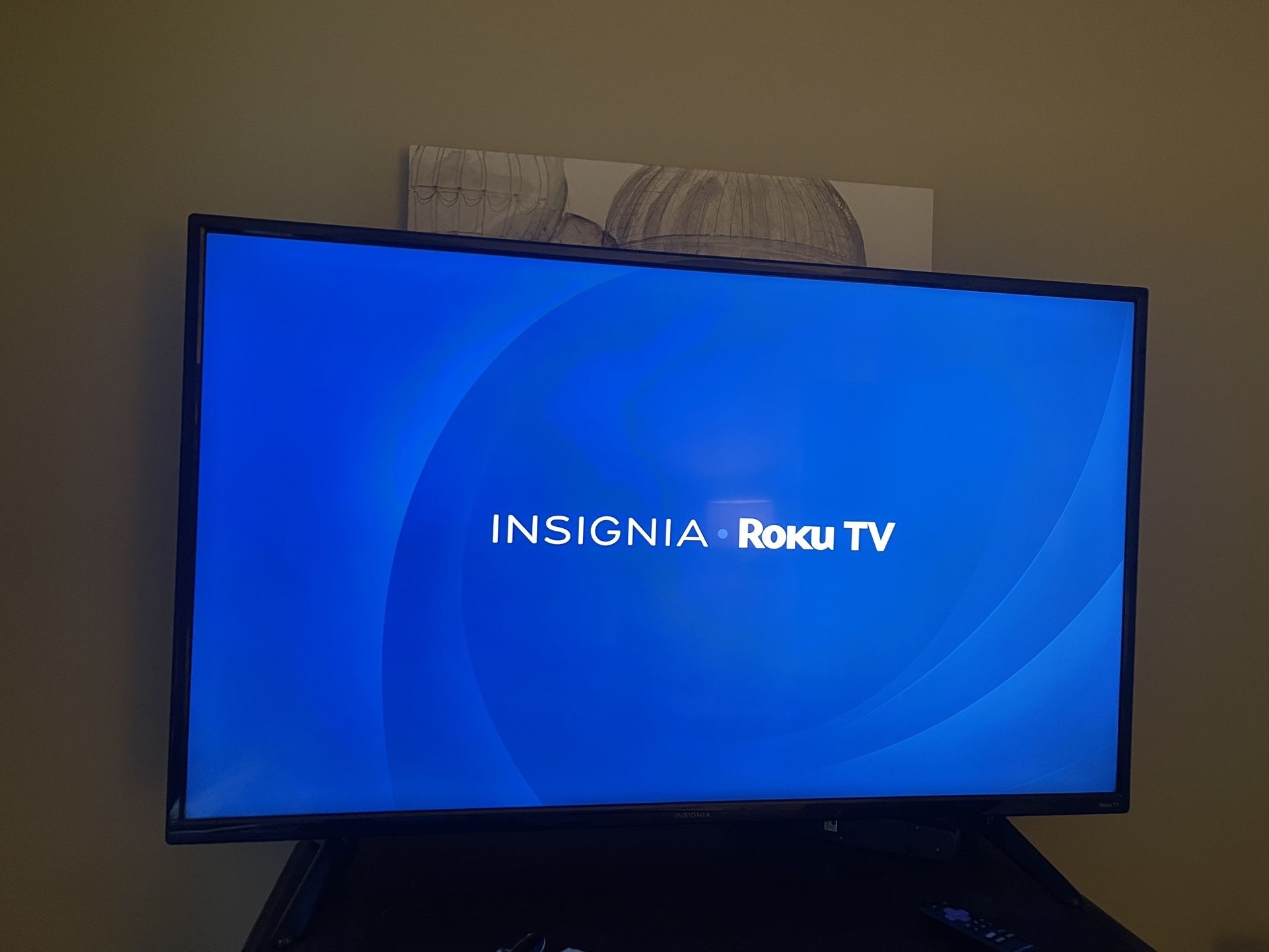 Insignia 48” Roku TV