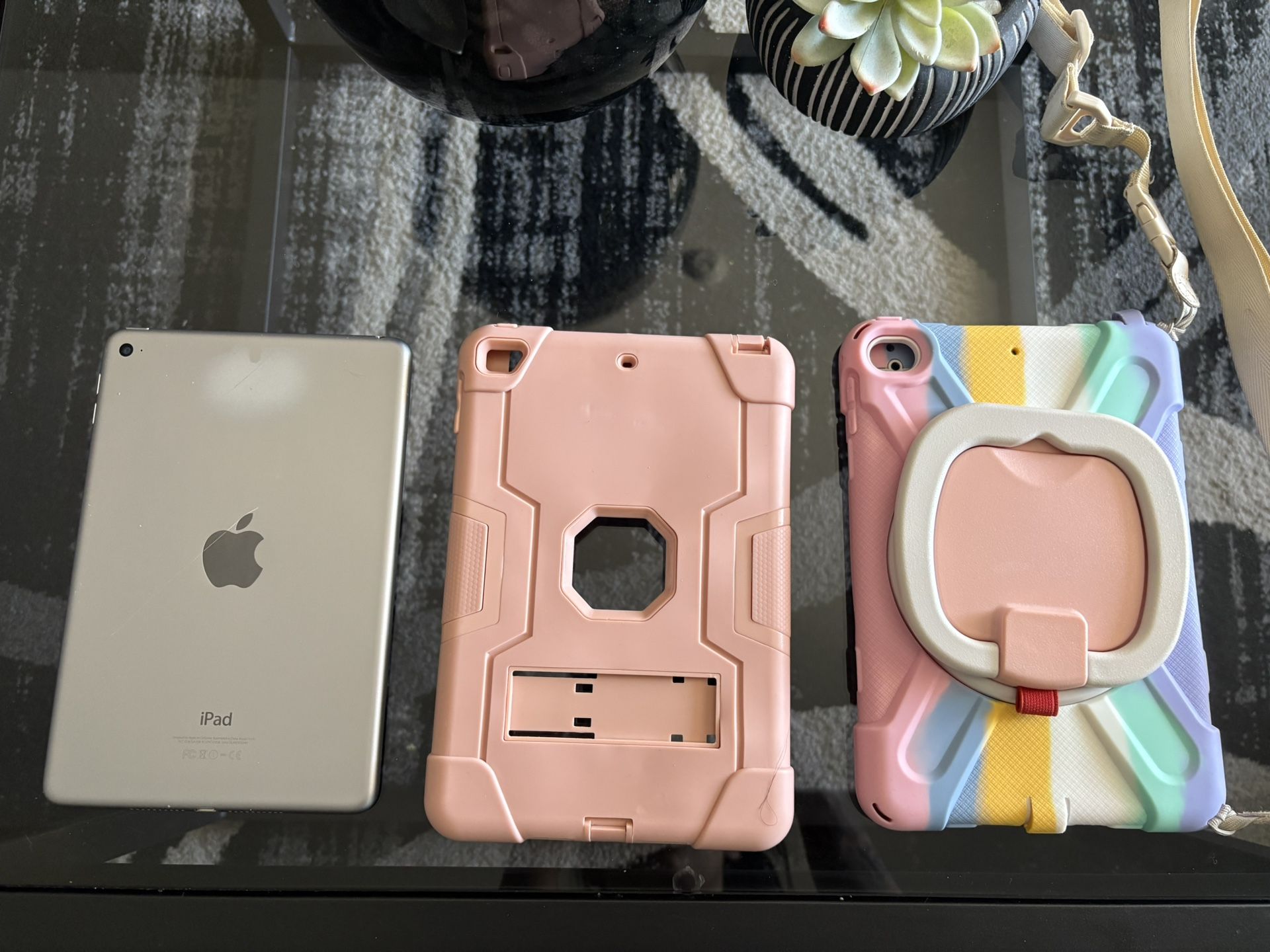 iPad Mini 5 with Cases