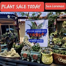 PLANT SALE TODAY SUNDAY IN SAN LORENZO FROM 1PM TO 5PM  