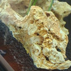 Aquarium  Decore, Rocks, Gravel