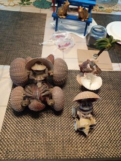 "Shell" figures...