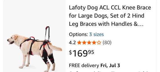 Lafoty Dog Knee Brace (Torn ACL/CCL) Recovery & Long Term Joint Care