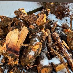 Free Wood, Pine Tree Stump