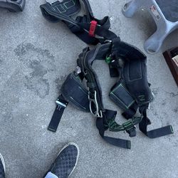 Body harness