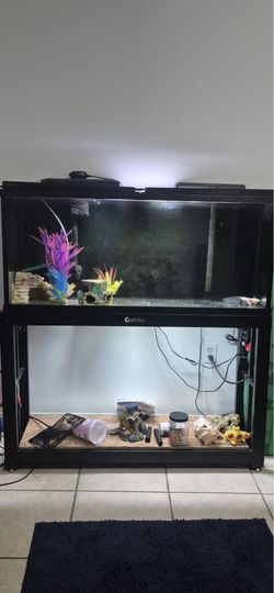 55-gallon tank with stand