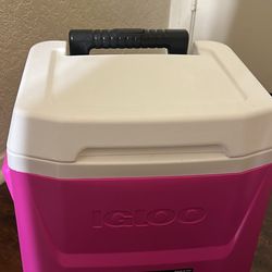 pink igloo cooler