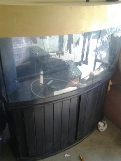 Fish tank and the stand and more