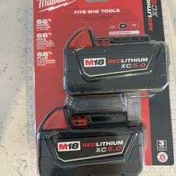 Milwaukee M18 18-Volt Lithium-Ion XC Extended Capacity 5.0 Ah Battery Pack (2-Pack)