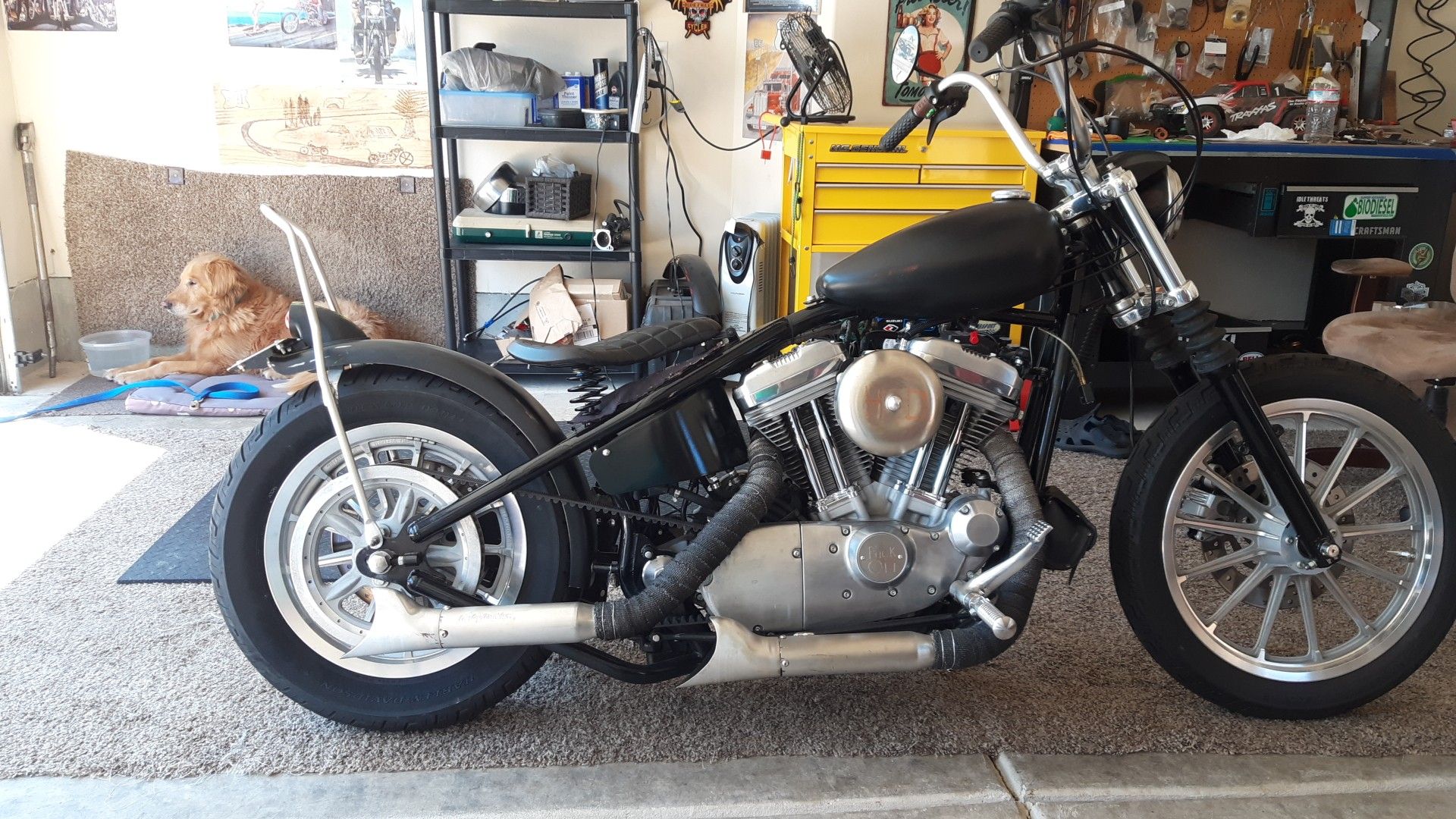 Photo 2017 custom build.harley sportster