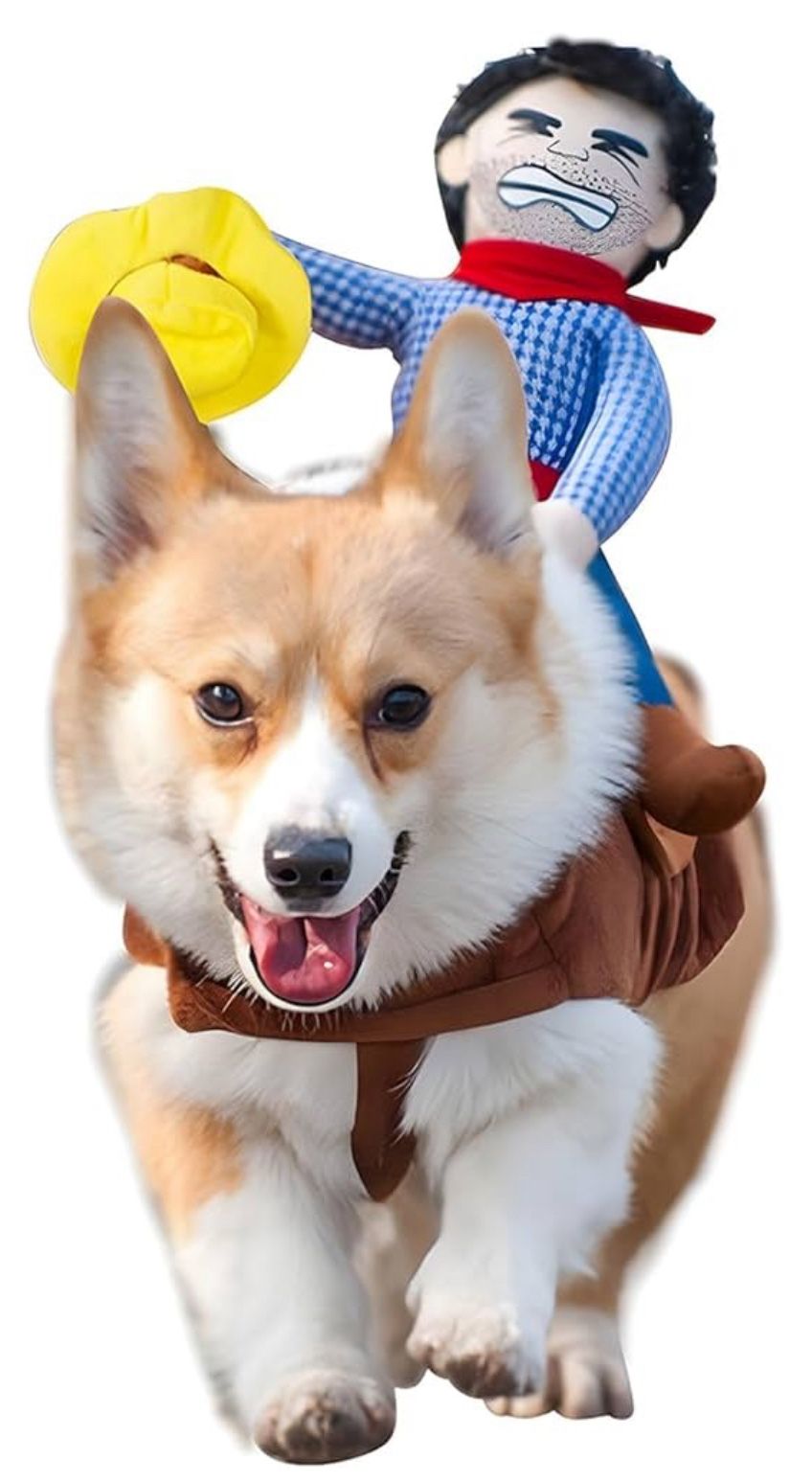 Dog Costume