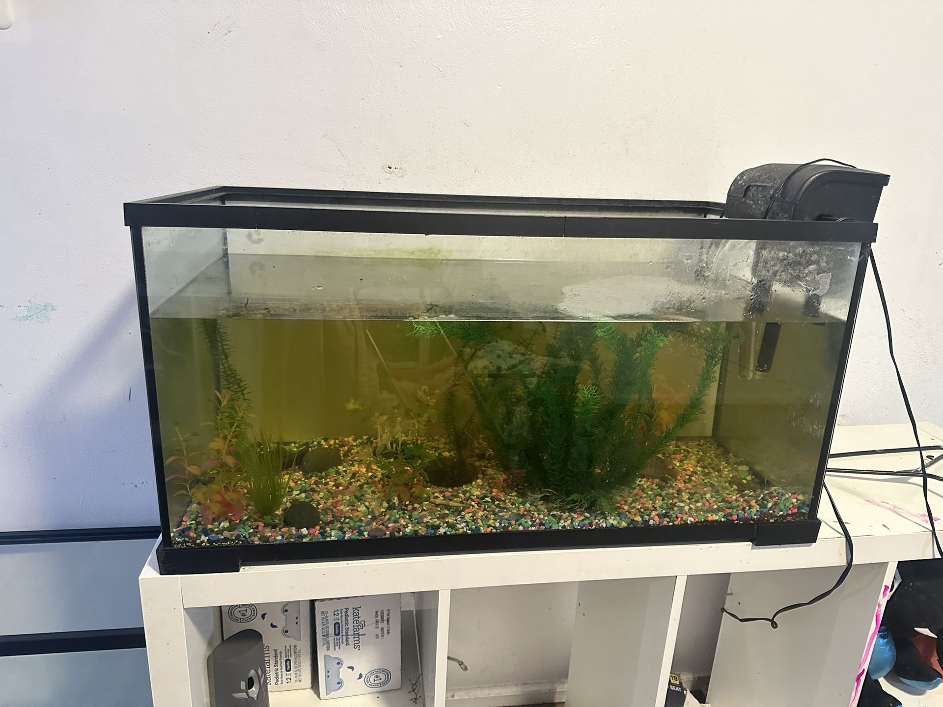 Fish Tank