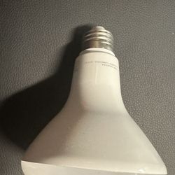 LED Can Light Bulbs  - Quantity Of 50
