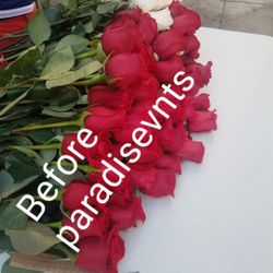 100 fresh roses