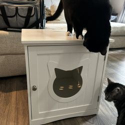 Litter Box Cabinet