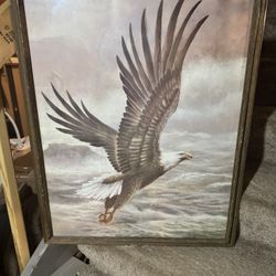 Eagle Pic