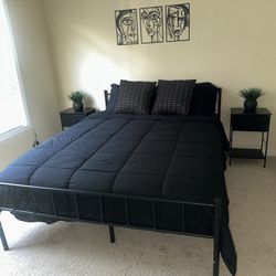 Mint condition queen bed frame & mattress 
