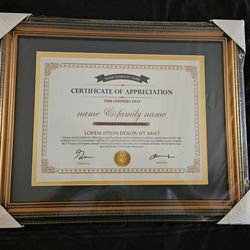 Brand new Diploma/Certificate frame with mat