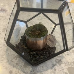 Glass Hydroponic Decrotive Planter? 