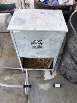 Dog feeder