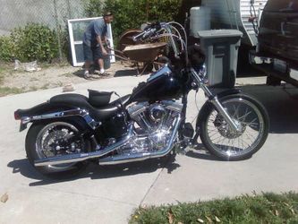2002 softail standard