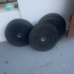 One Fit Wonder