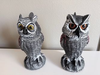 Owl Decoys
