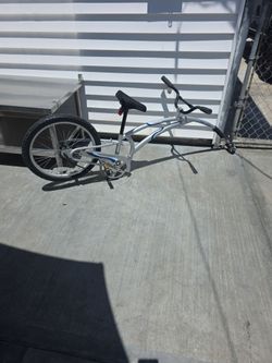 Adam's bike trailer..