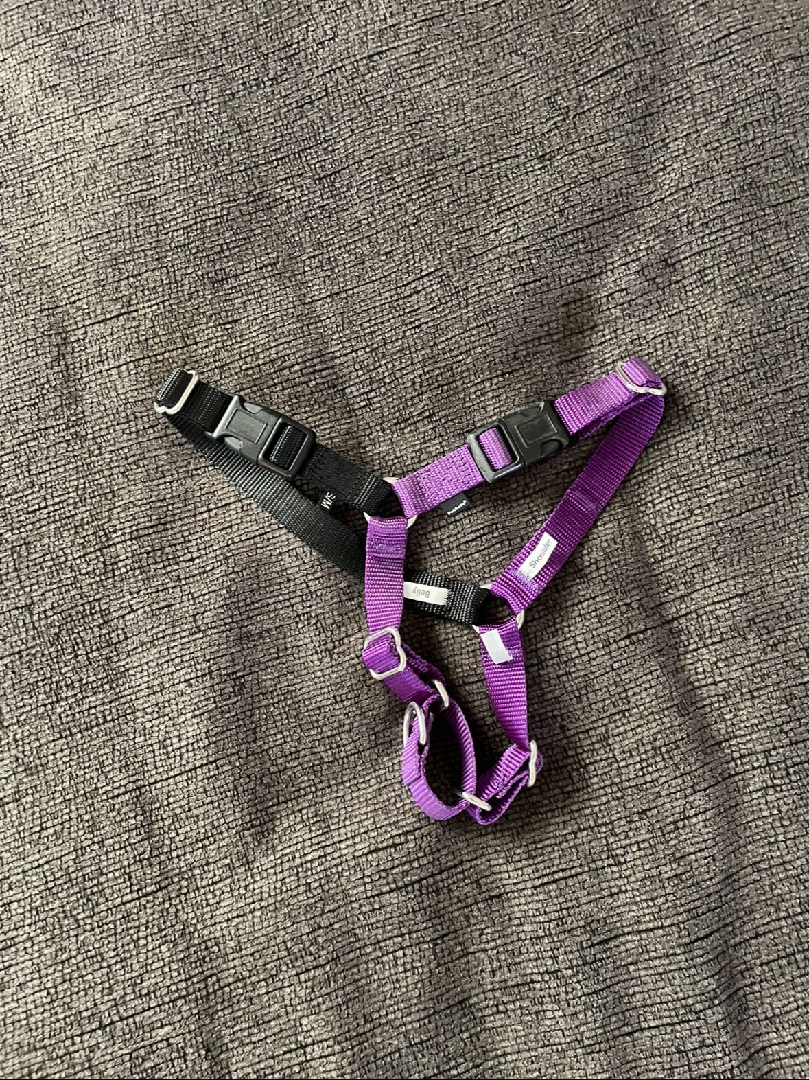 Postage Dog Harness