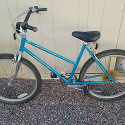 Schwinn Cruiser 80s era