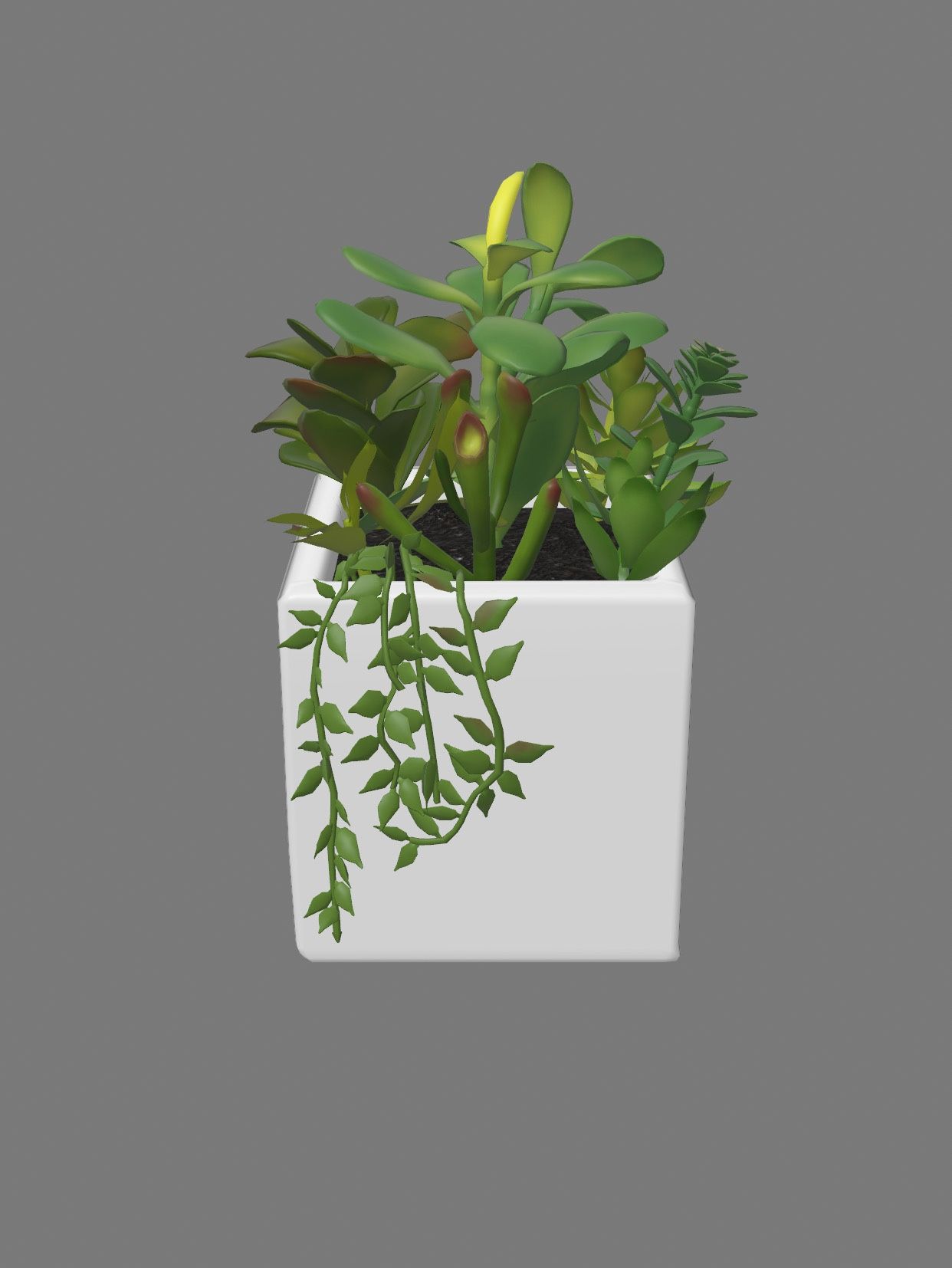 2 Packs Artificial Succulent Plant Arrangement in Pot - Set of 2 - Project 62