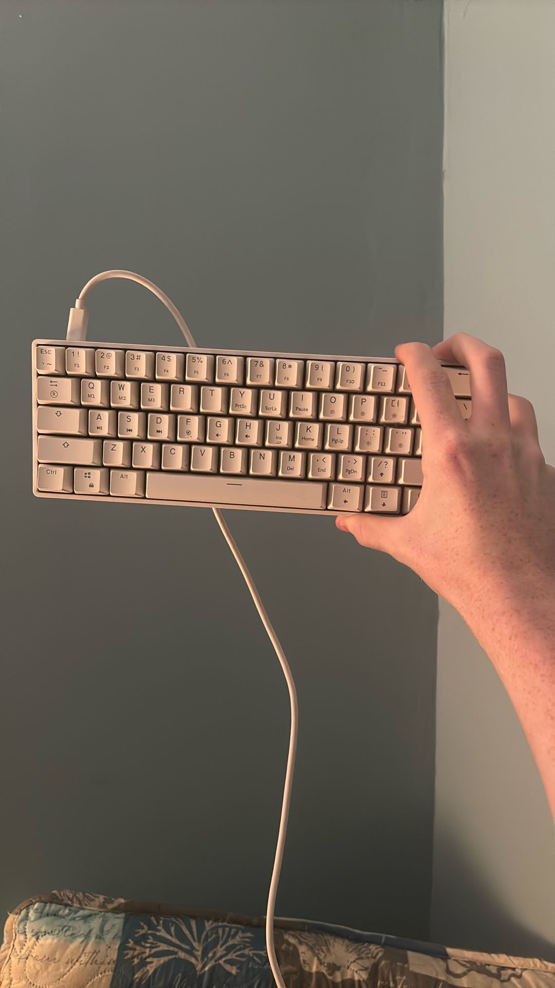 60 Percent gk61 Black Switches