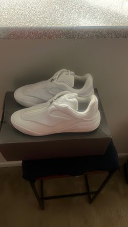 Shai 001 clean slate 11.5