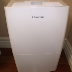 Hisense Dehumidifier 