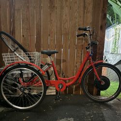 Electric 3 Wheel Bike